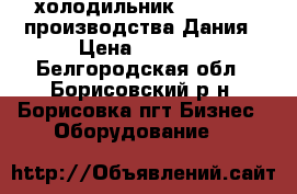 холодильник Fitofrost производства Дания › Цена ­ 8 000 - Белгородская обл., Борисовский р-н, Борисовка пгт Бизнес » Оборудование   